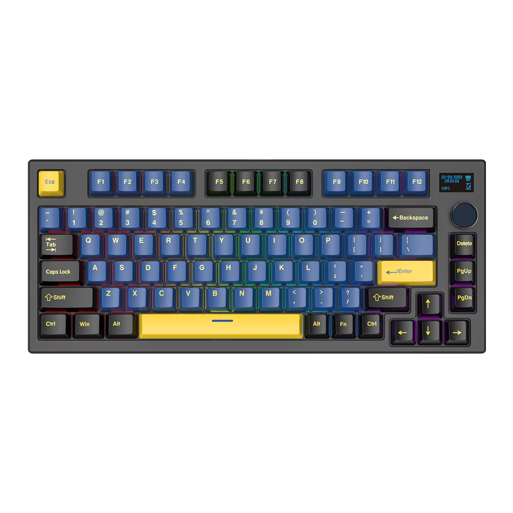 MAXFIT81 VIBE EDITION